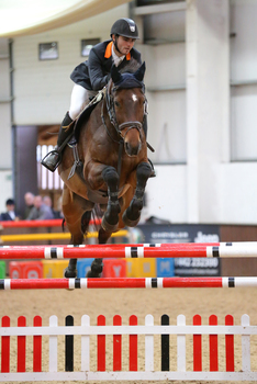SEIB Winter Novice Championship Qualifier at Bury Farm Equestrian Club